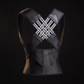 SPYNO Posture Corrector — Product Detail